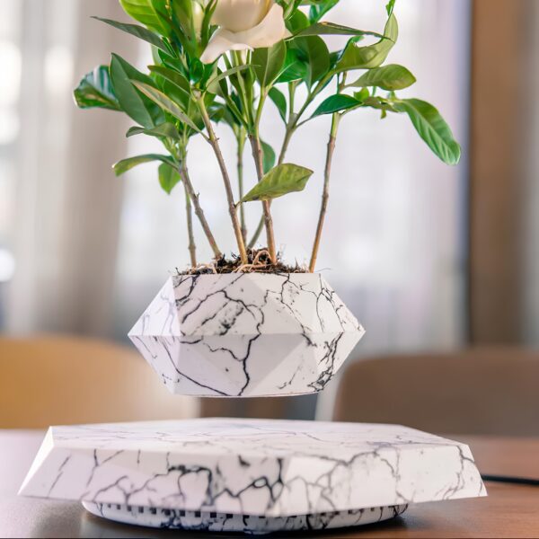Vaso Flutuante